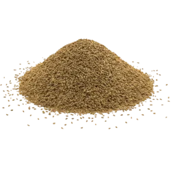 ajwain