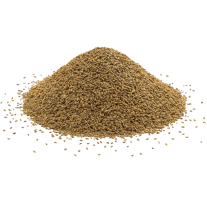 ajwain