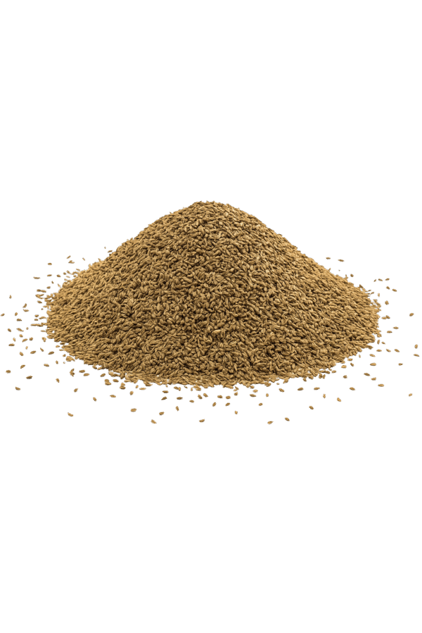 ajwain