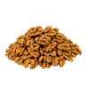 akhrot giri