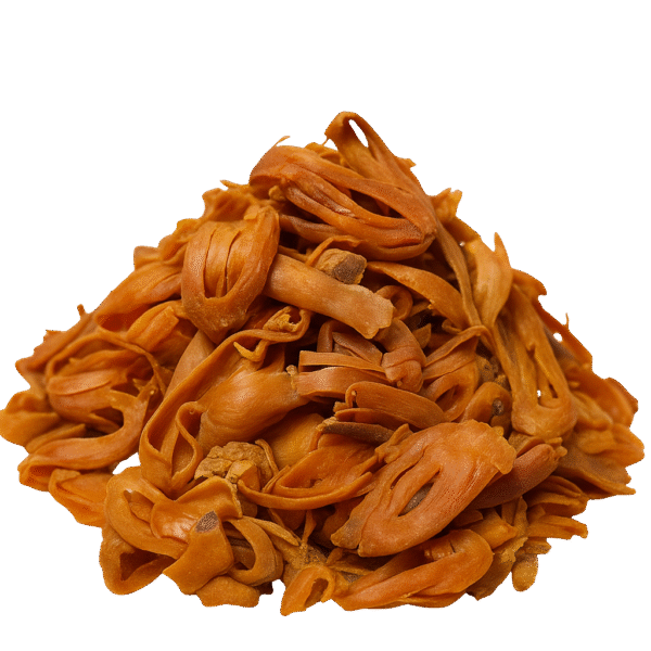 javatri