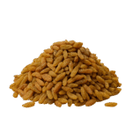 kishmish sundarkhani