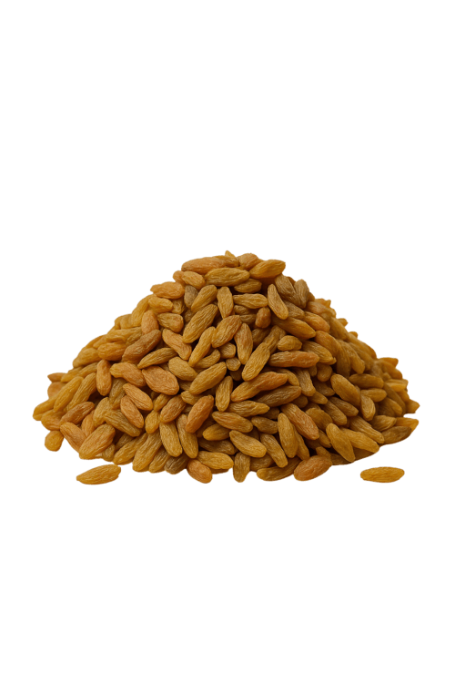 kishmish sundarkhani