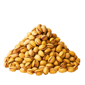 pista namkeen