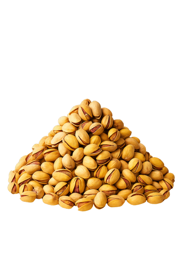 pista namkeen