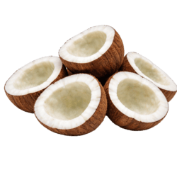 coconut